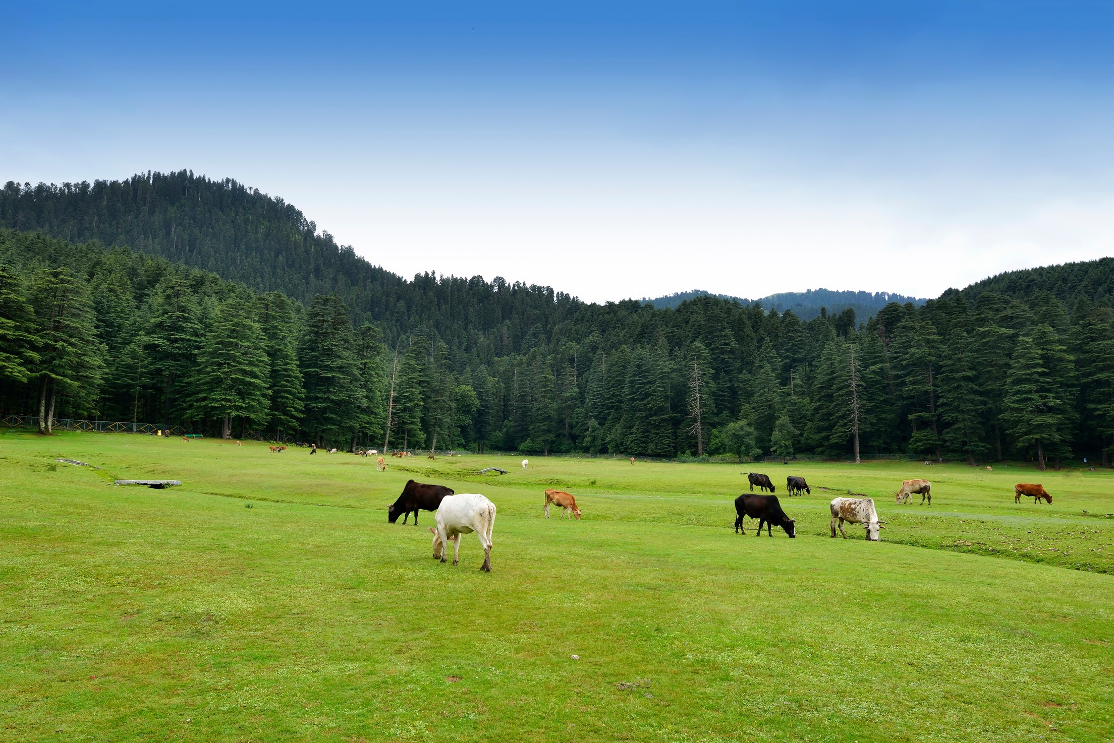 Himachal mountains landscape